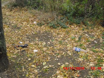 сквер Гагарина-Подводников